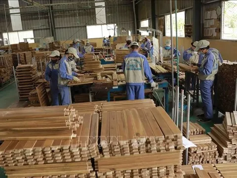 Xuất khẩu gỗ và sản phẩm từ gỗ có thể đạt 14,5 tỷ USD trong năm 2023