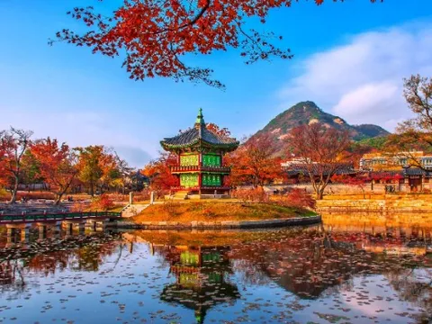 Giá vé như mơ tận hưởng trọn tiện ích - đặt ngay vé Deluxe, Vietjet thôi!