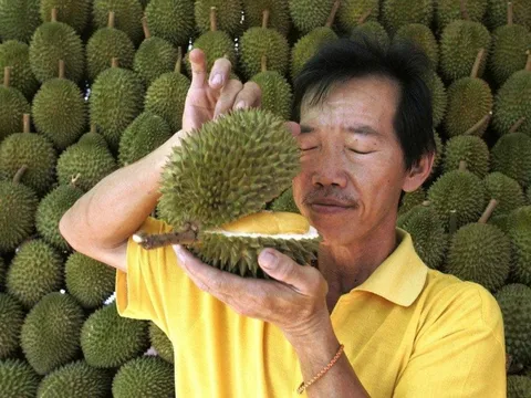 Loại quả 'mùi' nhất thế giới, phổ biến ở Việt Nam khiến thế giới phát cuồng, vượt nho, cherry trở thành biểu tượng giàu có trong các giỏ quà biếu