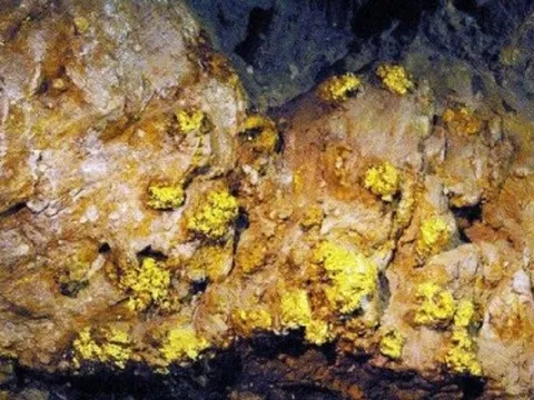 Nghệ An chấm dứt hoạt động Nhà máy sản xuất và chế biến quặng vàng gốc của Tập đoàn khoáng sản Á Cường