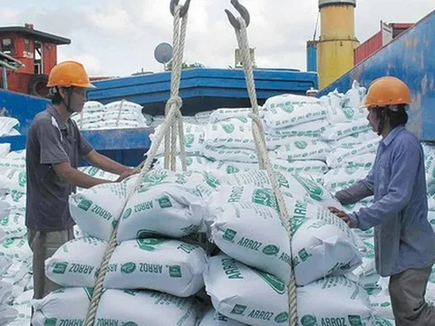 Nhiều đoàn Philippines sang Việt Nam đàm phán mua gạo