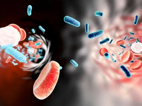 8 dấu hiệu "cảnh báo đỏ" các mô và tế bào trong cơ thể đang tổn thương nghiêm trọng