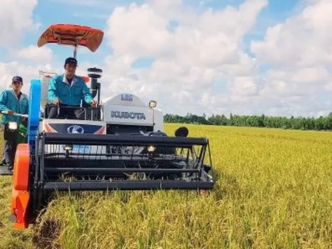 Dự báo xuất khẩu gạo của Việt Nam đạt kỷ lục mới cả sản lượng, giá trị xuất khẩu
