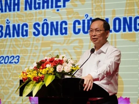 Tập trung vốn, tạo mọi điều kiện cho doanh nghiệp thu mua chế biến, tạm trữ lúa gạo