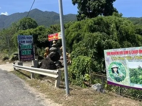 Tp.Đà Nẵng: Xem xét mở lại hoạt động khu du lịch tại suối Lương