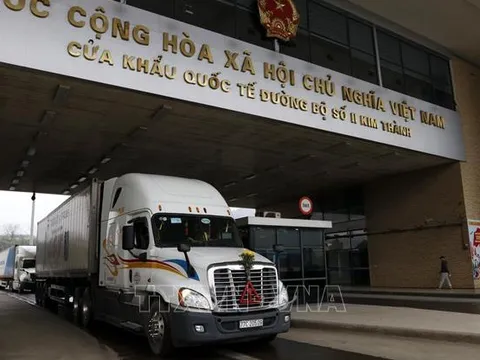Xuất khẩu rau quả sang Trung Quốc tăng trưởng rất tích cực