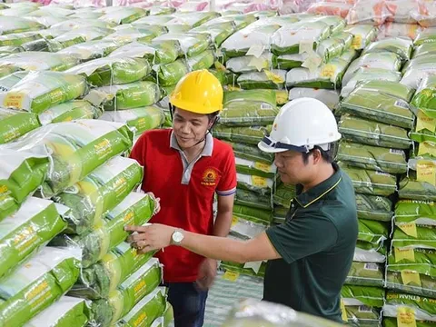 Lộc Trời giải thể liên doanh 3 triệu USD với đối tác Trung Quốc