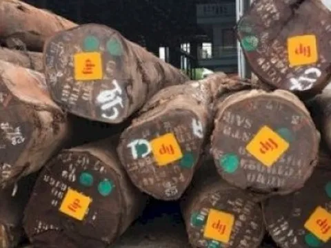 Công bố danh mục các loại gỗ đã nhập khẩu vào Việt Nam