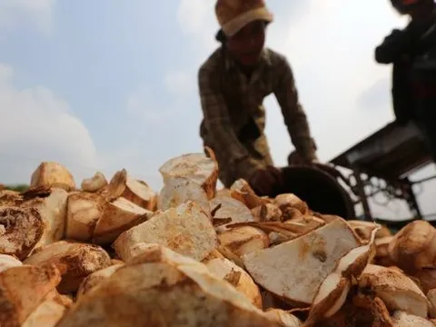 Giá rẻ kỷ lục, một mặt hàng của Việt Nam đang được Trung Quốc "săn lùng" trong 8 tháng đầu năm, Việt Nam xuất khẩu đứng thứ 3 thế giới