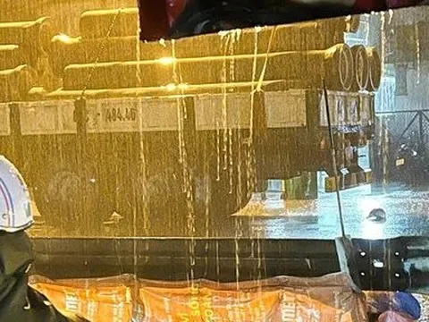 Đồng Nai: Va chạm xe tải trong cơn mưa lớn, đôi nam nữ thương vong