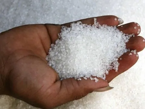 Giá đường tăng lên mức kỷ lục 12 năm