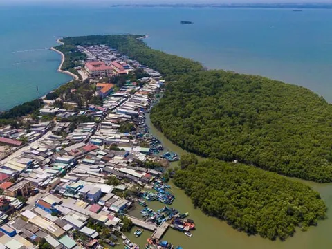 Định hình khung chiến lược xanh (*): Cần Giờ đi tiên phong