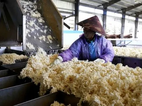Nga bất ngờ tăng nhập khẩu một mặt hàng của Việt Nam gấp 4 lần trong 8 tháng đầu năm, Việt Nam xuất khẩu đứng thứ 3 thế giới