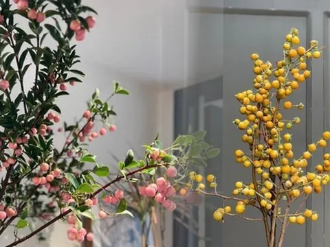 Mùa thu cực chill ngay tại nhà với các loại cành quả mới lạ
