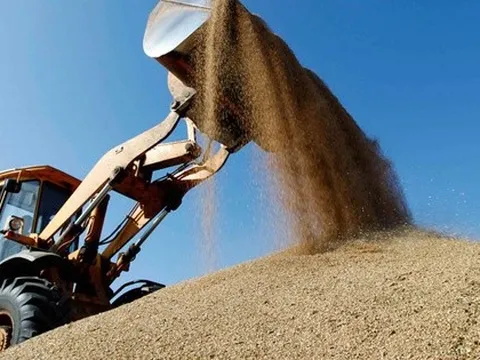 Nhập khẩu lúa mì từ Mỹ tăng đột biến