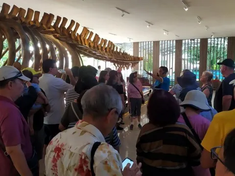 Tàu biển Spectrum of the Seas đưa 4.000 du khách quốc tế đến Khánh Hòa