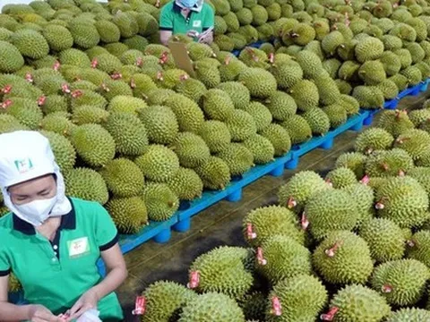 Xuất khẩu rau quả thu về hơn 4 tỷ USD