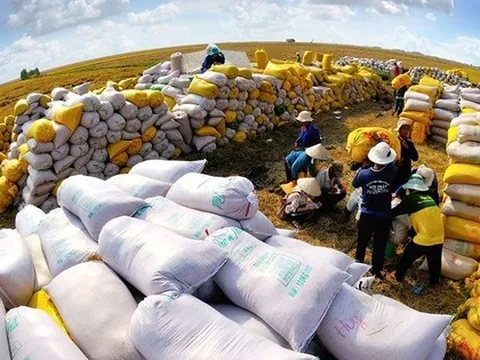 Liên tiếp lập kỷ lục, nông sản Việt thành 'ngôi sao' trên thị trường thế giới