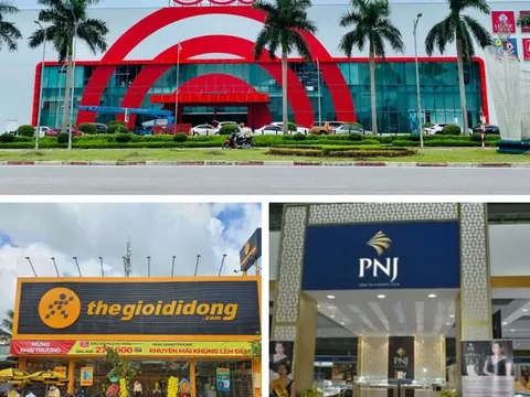 Top 10 Công ty Bán lẻ uy tín năm 2023: Central Retail, Thế giới di động, PNJ giữ vững top 1, Saigon Coop thăng hạng