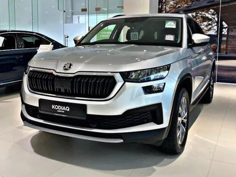 Lộ toàn bộ trang bị Skoda Karoq, Kodiaq tiền tỷ sắp bán tại Việt Nam: Gần ngang xe Nhật, Hàn cùng phân khúc
