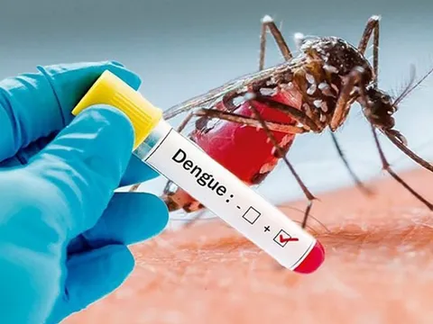 Hơn 80.000 ca mắc sốt xuất huyết được ghi nhận