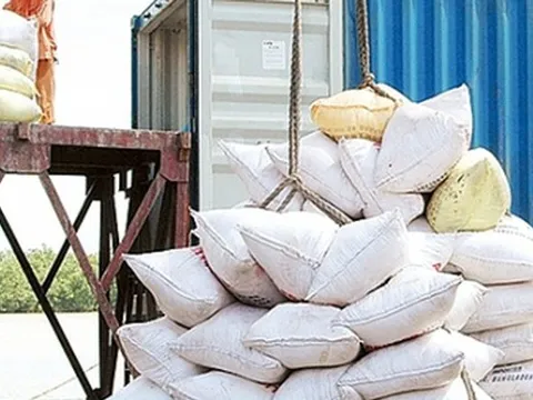 Thị trường gạo Việt Nam có tiếp tục khởi sắc những tháng cuối năm?
