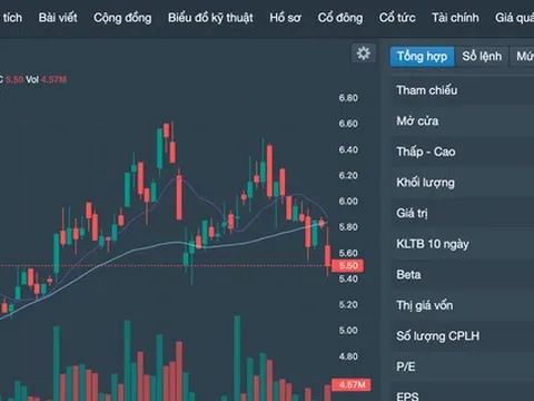 Động thái của Đặng Thị Hoàng Yến ngay khi cổ phiếu ITA được gỡ “lệnh” cảnh báo - kiểm soát