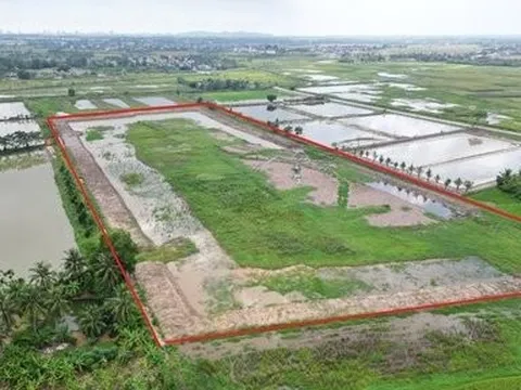 Thanh Hóa: Đất lúa của hàng chục hộ dân bị đào xới, bao bờ và xâm phạm