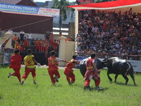 Hàng vạn du khách nườm nượp tới Đồ Sơn xem Lễ hội chọi trâu