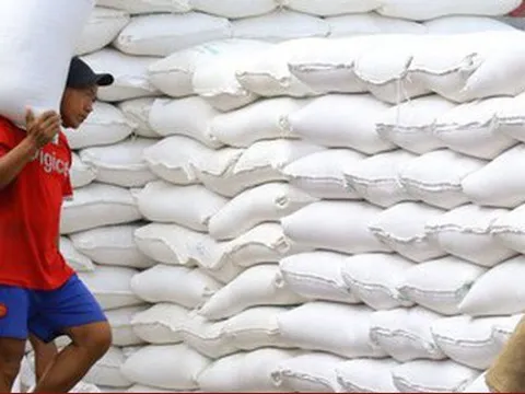 Xuất khẩu gạo năm nay có thể trên 7,5 triệu tấn