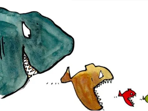 2 DN vốn vài trăm tỷ liên tục rót tiền vào cảng biển: Nắm 15% VĐL Hải An (HAH), sắp thâu tóm một DN sửa chữa container, giao nhận hàng hoá