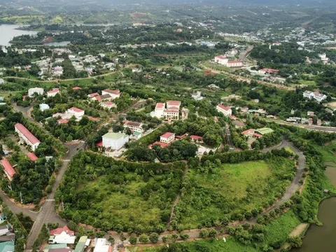 Nhìn nhận hạn chế để phát triển