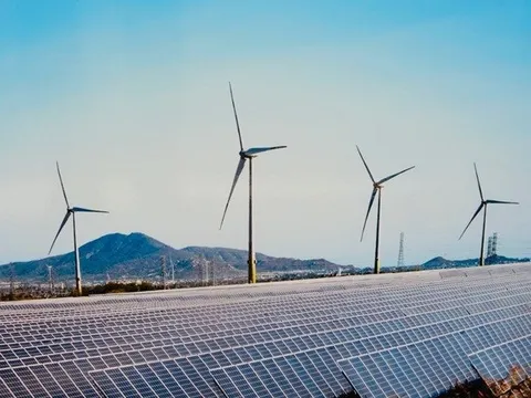 Áp lực từ 10.000 tỷ đồng trái phiếu, dự án điện gió lớn nhất Việt Nam của Trung Nam báo lỗ 390 tỷ đồng