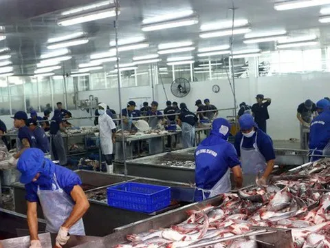 Xuất khẩu thủy sản trở lại “đường đua”