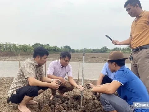 Nông dân Hải Phòng thu tiền tỷ mỗi năm nhờ nuôi rươi sinh sản