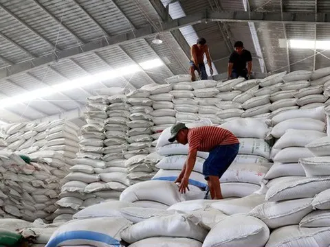 Thị trường giảm nhiệt, nhưng giá gạo tiếp tục cao