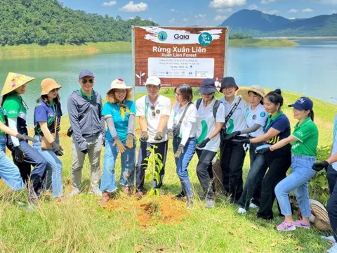 Manulife tiếp tục hành trình phục hồi rừng, phủ xanh Việt Nam