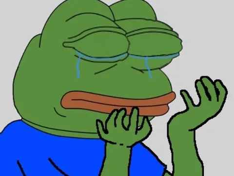 Cổ phiếu giảm 50% trong 7 ngày, Ban lãnh đạo và người nhà nắm giữ chưa tới 5% cổ phần doanh nghiệp, không có cổ đông lớn