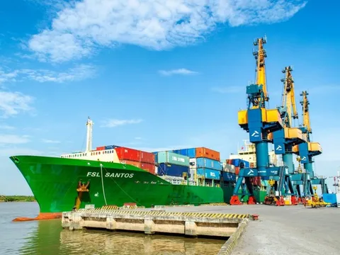 Hải An (HAH) lãi ròng 288 tỷ đồng sau 8 tháng, điều chỉnh giảm kế hoạch lợi nhuận, chuẩn bị đón tàu mới