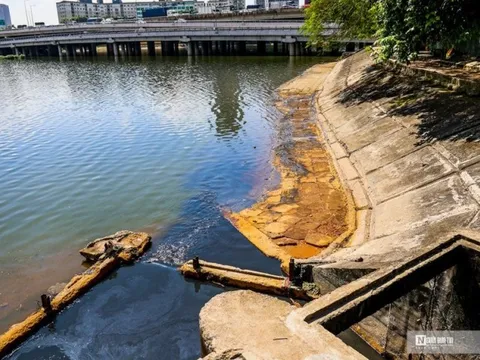 Hà Nội: Dầu thải nổi váng phủ mặt hồ Linh Đàm