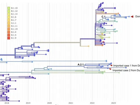 Ca đậu mùa khỉ vừa ghi nhận tại TP HCM: Đã có kết quả giải mã gien