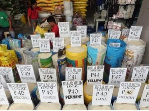 Philippines dỡ bỏ trần giá gạo sau 1 tháng áp dụng