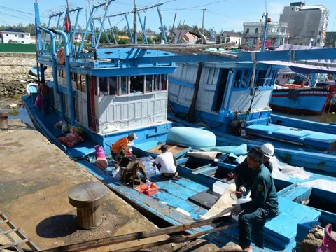 Phạt chủ 2 tàu cá với số tiền "khủng"