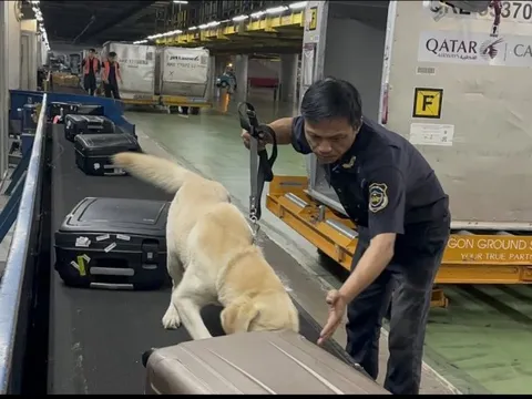 Cục Hải quan TP HCM chỉ đạo "siết" nhập lậu iPhone 15 từ Singapore, Mỹ