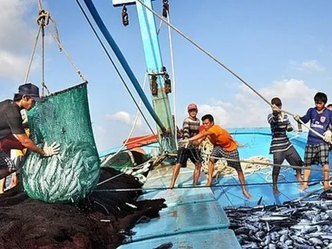 Thủ tướng yêu cầu quyết tâm gỡ 'thẻ vàng' thủy sản