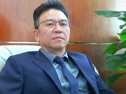 Chủ tịch VIMC nói về sự tương hỗ giữa các 'quả đấm thép'