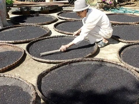 Mặt hàng Việt Nam có sản lượng lớn nhất thế giới đang liên tục tràn vào Ai Cập, xuất khẩu tăng mạnh 200% chỉ trong tháng 8