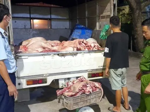 Phát hiện hơn 1,3 tấn thịt lợn không đảm bảo an toàn thực phẩm