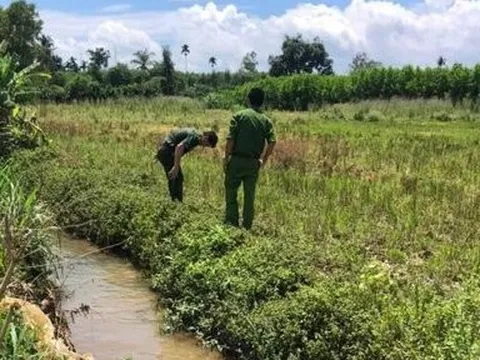 Bình Thuận: Người phụ nữ tử vong khi đi bắt cua đồng ngoài đồng ruộng