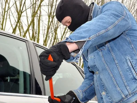 Bị kiện vì khiến nạn trộm xe hoành hành, hai hãng xe hơi đổ lỗi ngược cho TikTok và Instagram